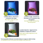 The Indoor Hydroponic Gardening System - Vignette | The New Gardener