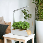 The Indoor Hydroponic Gardening System - Vignette | The New Gardener